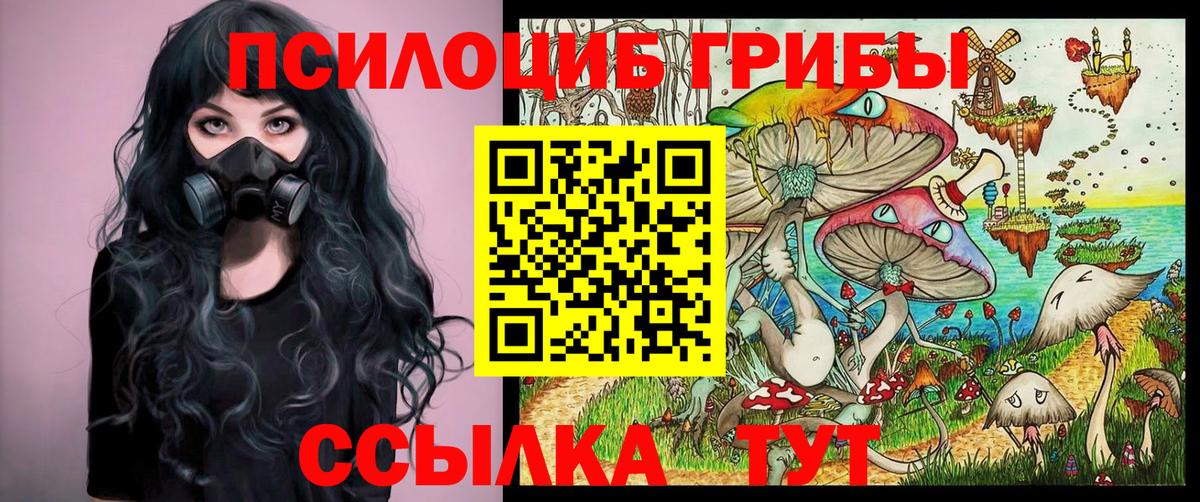 Галлюциногенные грибы Cubensis Сокол