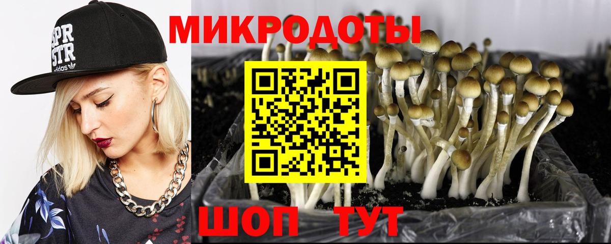 Сокол  Галлюциногенные грибы Magic Shrooms  Псилоцибиновые грибы ЛСД  Вход с VPN 