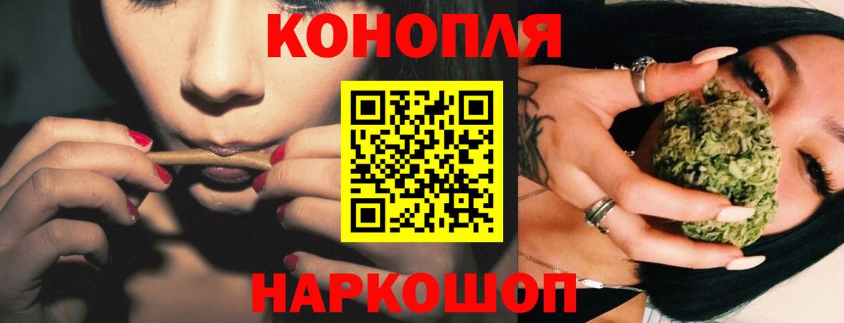 Канабис SATIVA & INDICA Сокол